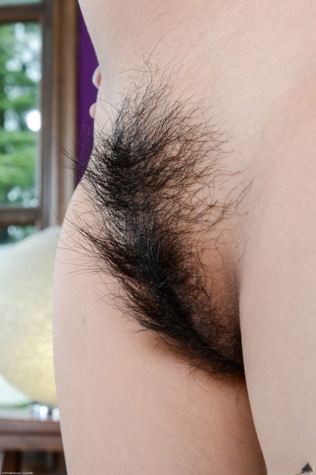 Free Hairy Asian Pussy Xxx Photos Hairywomenpics