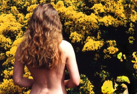 Glamorous babes show off their tiny tits in an erotic compilation